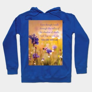 Even though I walk through the valley, Psalm 23:4 Hoodie